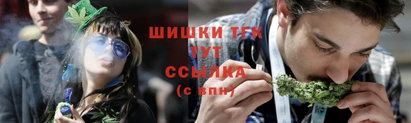 PSILOCYBIN Михайлов
