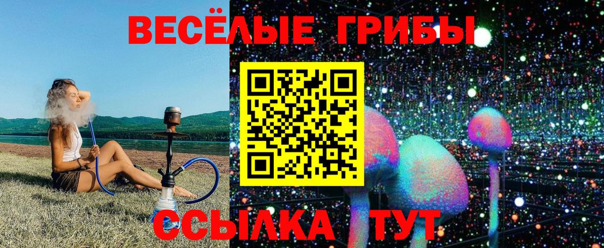 Белореченск  Псилоцибиновые грибы прущие грибы  Вход с VPN 